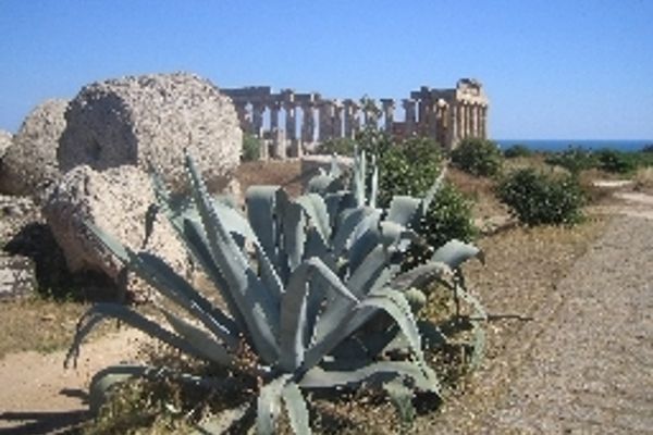 Alceste (Castelvetrano)